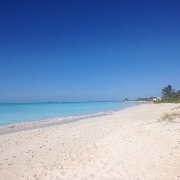 Meet your Posher, Tanya - Picture 1 of 1